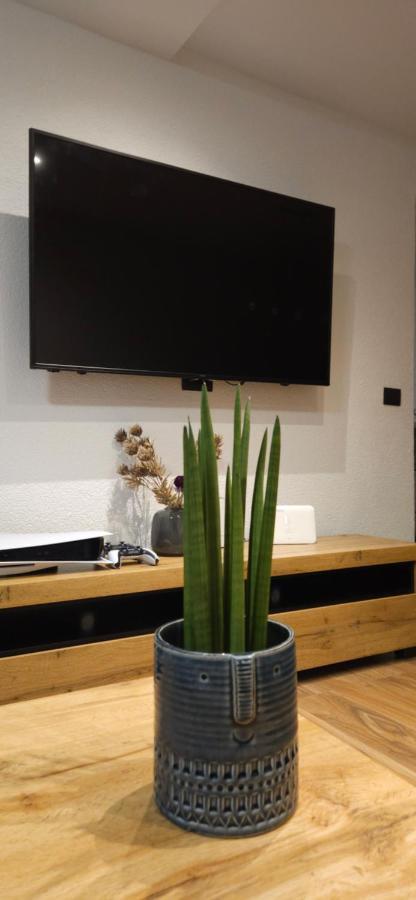Betty Apartments Borik - Whole Ground Floor Rovinj Luaran gambar